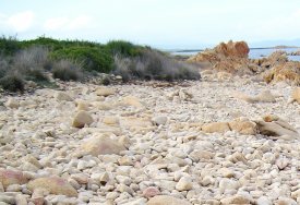 primo stadio veduta di sassi calcarei e scogli in riva al mare