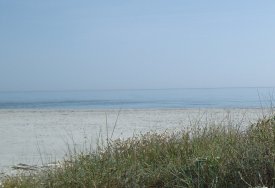 the beach in Spring 1