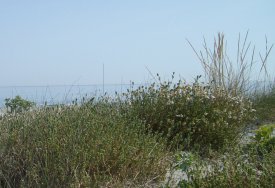 the beach in Spring 2