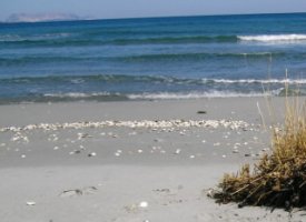 primo stadio sassi sulla riva della Spiaggia dei confetti